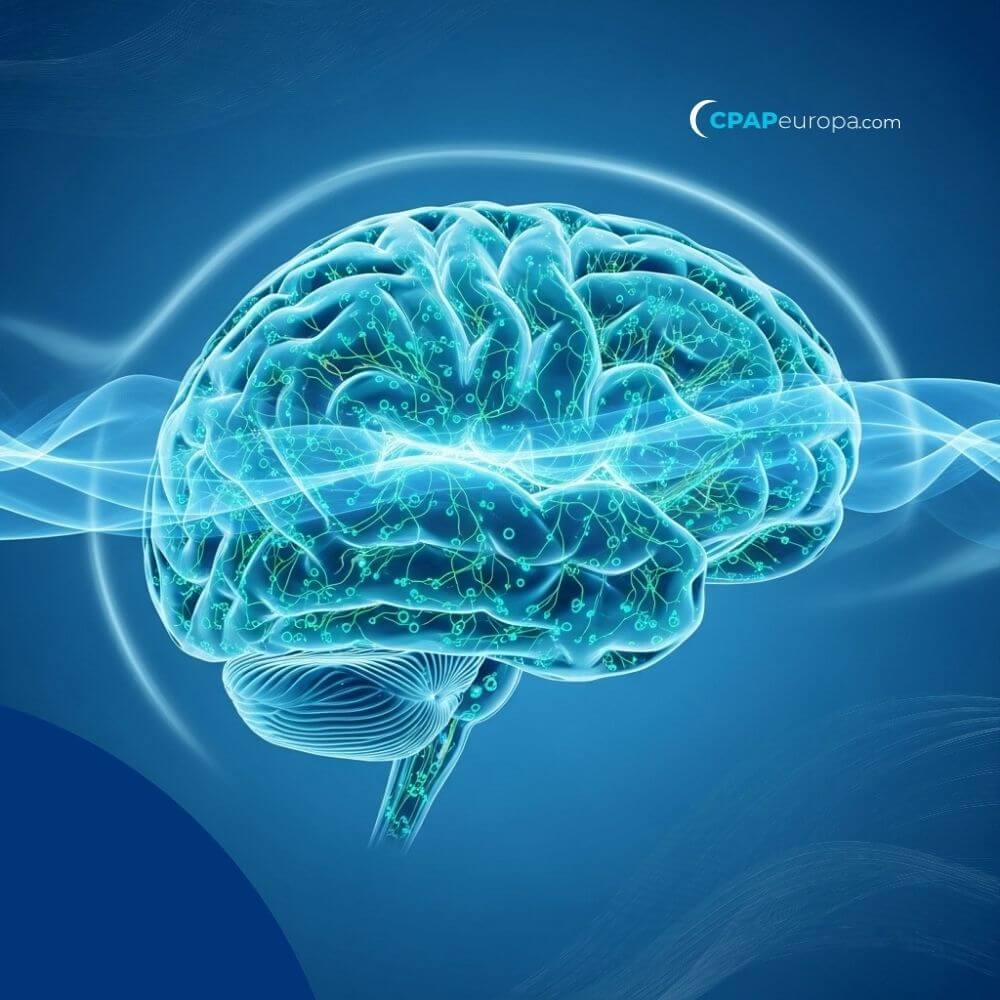 Untreated Sleep Apnea May Double Parkinson’s Disease Risk - CPAPeuropa com